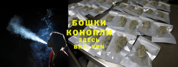 PSILOCYBIN Медвежьегорск