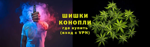 PSILOCYBIN Медвежьегорск