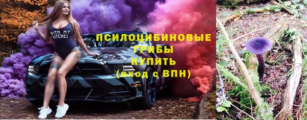 стафф Горнозаводск