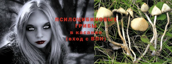 PSILOCYBIN Медвежьегорск