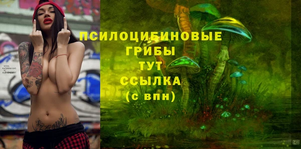 прущий лед Михайловск