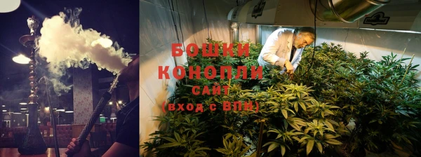 ешки Медногорск