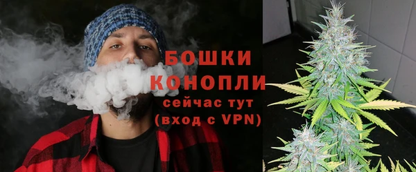 PSILOCYBIN Медвежьегорск