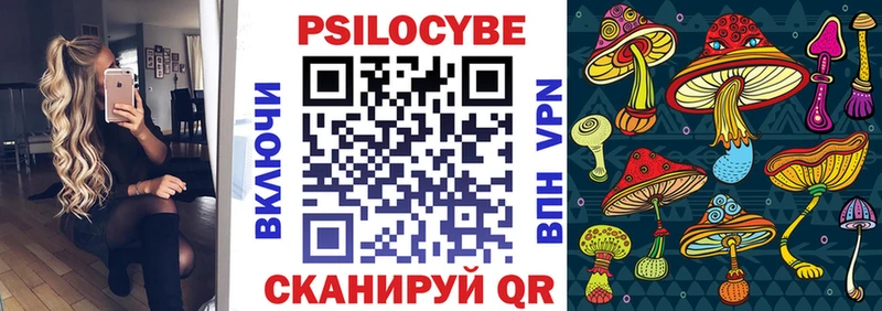 купить закладку  Егорьевск  Псилоцибиновые грибы Psilocybine cubensis 