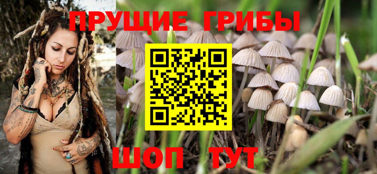 Псилоцибиновые грибы ЛСД Егорьевск